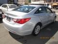 Radiant Silver - Sonata GLS Photo No. 5