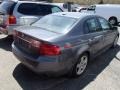 Anthracite Metallic - TL 3.2 Photo No. 6