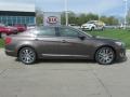 2014 Metallic Bronze Kia Cadenza Premium  photo #2