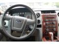 Camel/Tan Controls Photo for 2009 Ford F150 #80635427