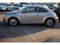 Moonrock Silver Metallic - Beetle 2.5L Photo No. 4