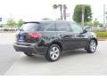 Crystal Black Pearl - MDX Technology Photo No. 7