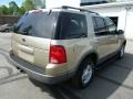 2002 Harvest Gold Metallic Ford Explorer XLT 4x4  photo #3