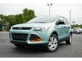 2013 Frosted Glass Metallic Ford Escape S  photo #1