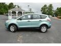 Frosted Glass Metallic 2013 Ford Escape S Exterior