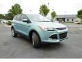 2013 Frosted Glass Metallic Ford Escape SEL 2.0L EcoBoost 4WD  photo #3