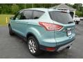 2013 Frosted Glass Metallic Ford Escape SEL 2.0L EcoBoost 4WD  photo #7