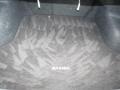Radiant Silver Metallic - Maxima 3.5 SV Photo No. 30
