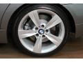 2009 Space Grey Metallic BMW 3 Series 335i Sedan  photo #33