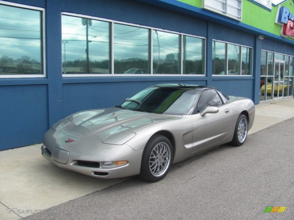 2000 Corvette Coupe - Light Pewter Metallic / Black photo #1