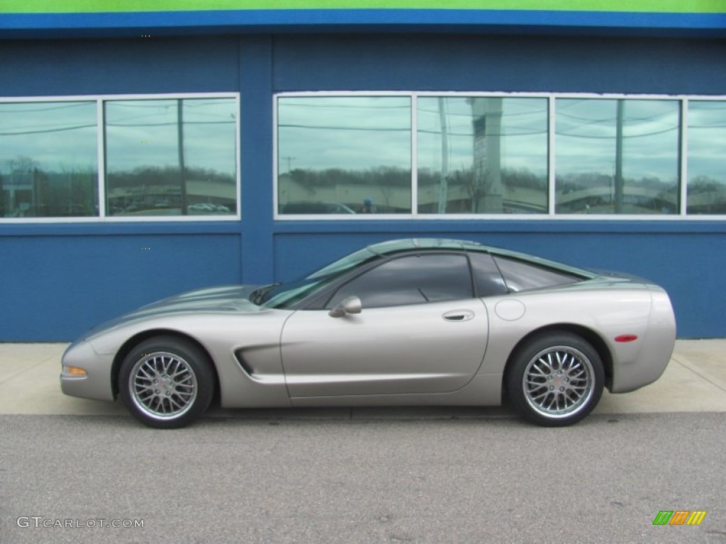 Light Pewter Metallic 2000 Chevrolet Corvette Coupe Exterior Photo #80653446