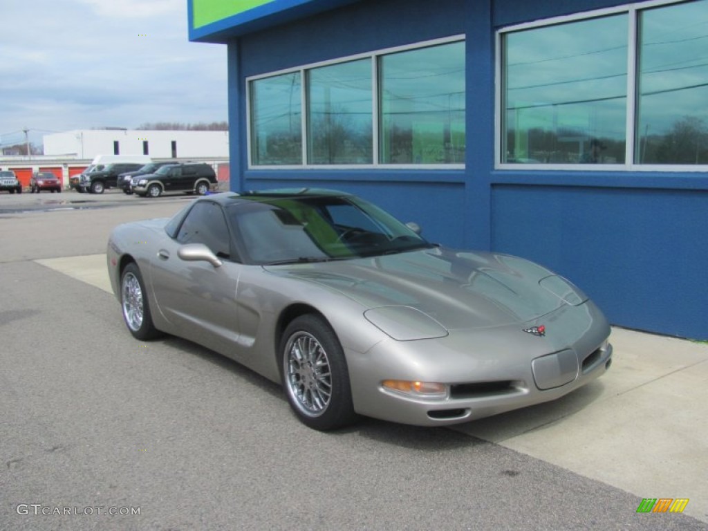 Light Pewter Metallic 2000 Chevrolet Corvette Coupe Exterior Photo #80653622