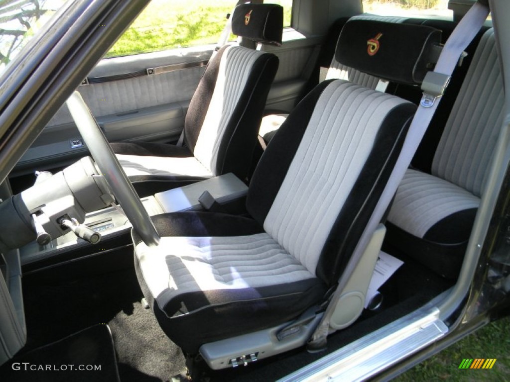 Grey Interior 1986 Buick Regal T-Type Grand National Photo #80657525