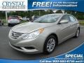 Camel Pearl - Sonata GLS Photo No. 1