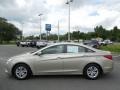 Camel Pearl - Sonata GLS Photo No. 2