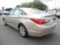 Camel Pearl - Sonata GLS Photo No. 3