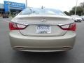 Camel Pearl - Sonata GLS Photo No. 7