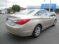 Camel Pearl - Sonata GLS Photo No. 8