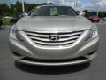 Camel Pearl - Sonata GLS Photo No. 13