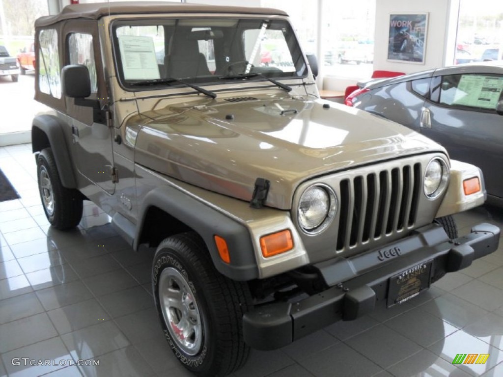 2004 Wrangler SE 4x4 - Light Khaki Metallic / Khaki photo #2