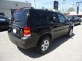 Black - Escape XLT V6 4WD Photo No. 6