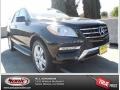 Black - ML 350 4Matic Photo No. 1