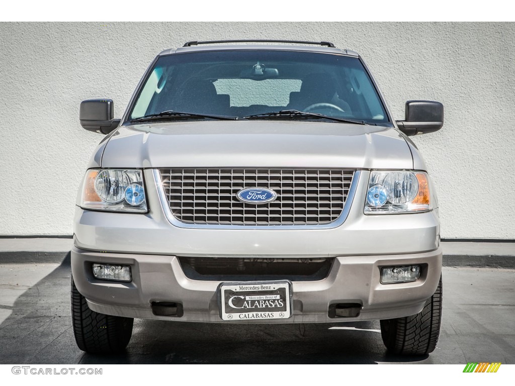 2003 Expedition XLT - Silver Birch Metallic / Flint Grey photo #2