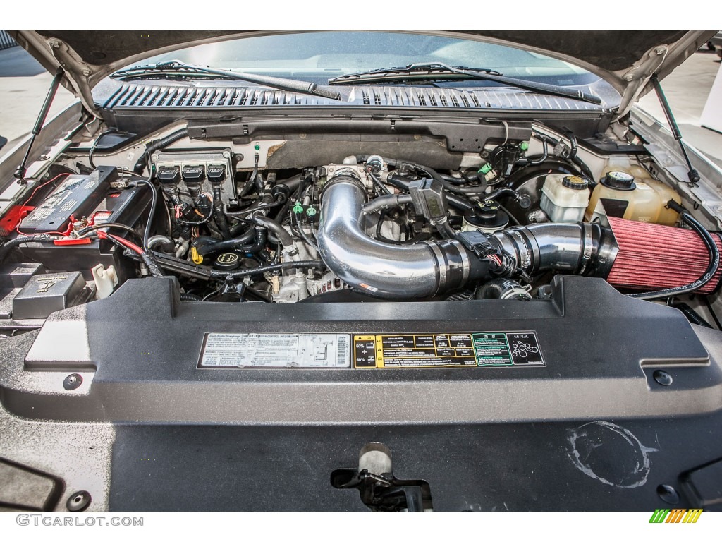 2003 Expedition XLT - Silver Birch Metallic / Flint Grey photo #9