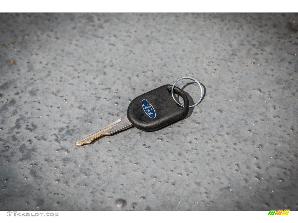 2003 Expedition XLT - Silver Birch Metallic / Flint Grey photo #11