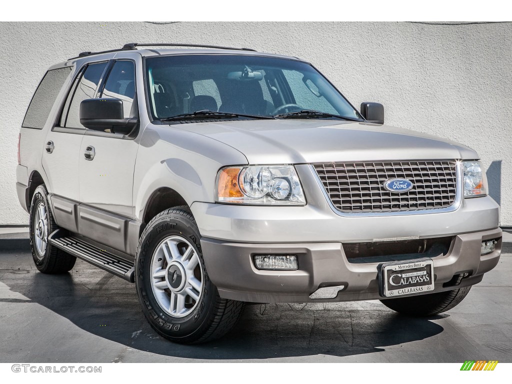 2003 Expedition XLT - Silver Birch Metallic / Flint Grey photo #12