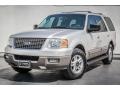 2003 Silver Birch Metallic Ford Expedition XLT  photo #13