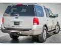 2003 Silver Birch Metallic Ford Expedition XLT  photo #14