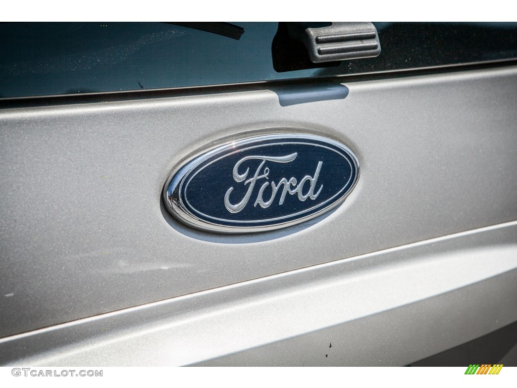 2003 Expedition XLT - Silver Birch Metallic / Flint Grey photo #30