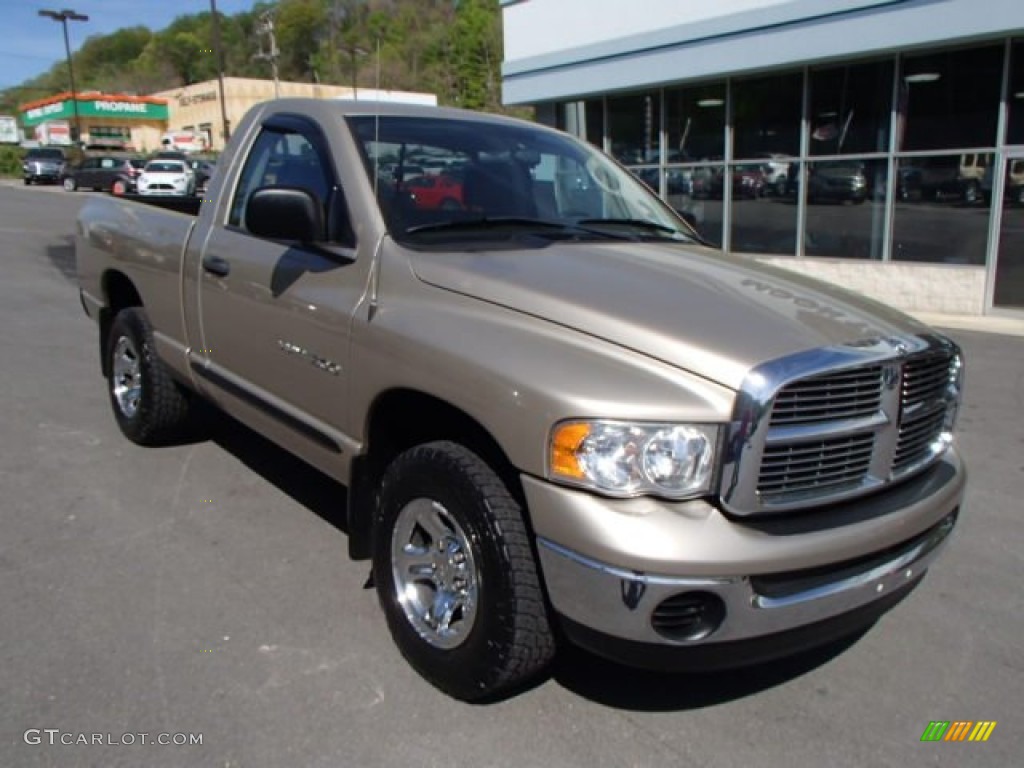 Light Almond Pearl 2005 Dodge Ram 1500 ST Regular Cab 4x4 Exterior Photo #80681336