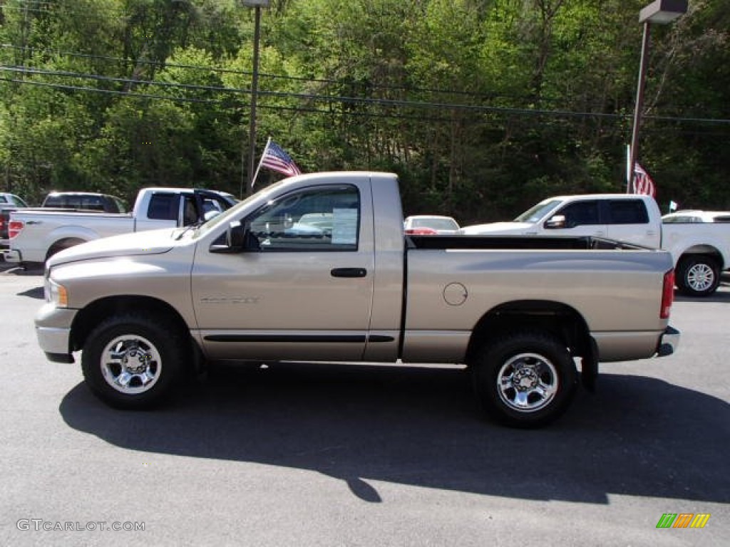 2005 Ram 1500 ST Regular Cab 4x4 - Light Almond Pearl / Dark Slate Gray photo #5