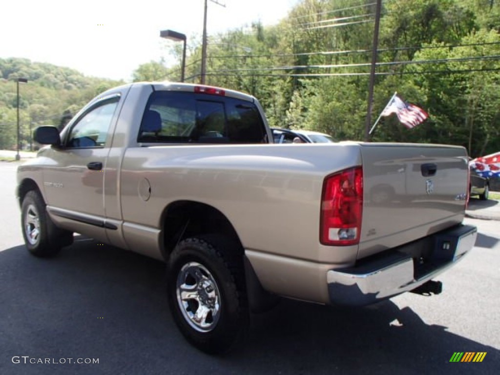 2005 Ram 1500 ST Regular Cab 4x4 - Light Almond Pearl / Dark Slate Gray photo #6