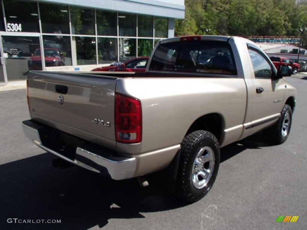 2005 Ram 1500 ST Regular Cab 4x4 - Light Almond Pearl / Dark Slate Gray photo #8