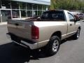 Light Almond Pearl 2005 Dodge Ram 1500 ST Regular Cab 4x4 Exterior