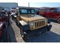 Dune Beige - Wrangler Sport 4x4 Photo No. 4