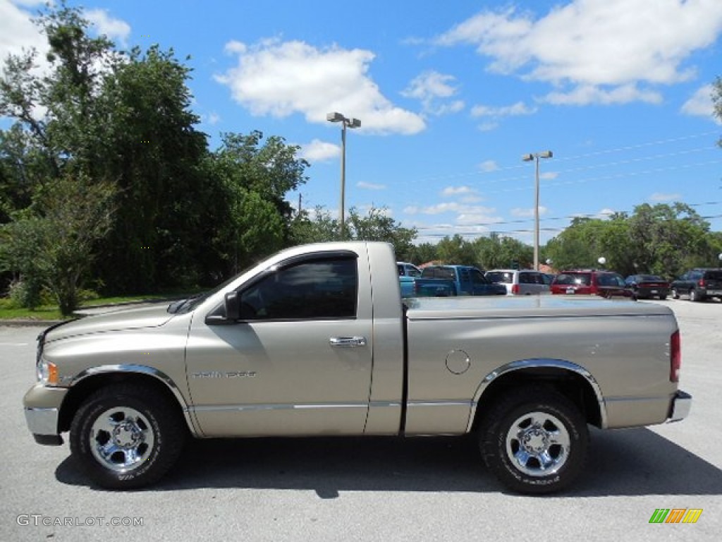 Light Almond Pearl 2004 Dodge Ram 1500 SLT Regular Cab Exterior Photo #80685320
