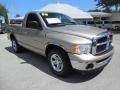 2004 Light Almond Pearl Dodge Ram 1500 SLT Regular Cab  photo #9