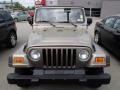 Light Khaki Metallic - Wrangler SE 4x4 Photo No. 2