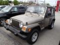 2005 Light Khaki Metallic Jeep Wrangler SE 4x4  photo #3