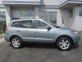 2008 Platinum Sage Hyundai Santa Fe SE 4WD  photo #2