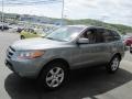 2008 Platinum Sage Hyundai Santa Fe SE 4WD  photo #5