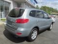 2008 Platinum Sage Hyundai Santa Fe SE 4WD  photo #9