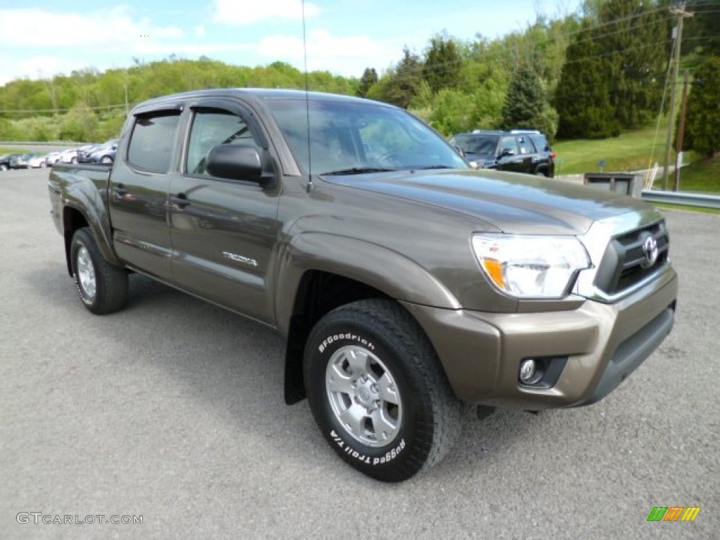 Pyrite Mica Toyota Tacoma