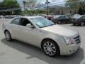 2009 Gold Mist Cadillac CTS 4 AWD Sedan  photo #5