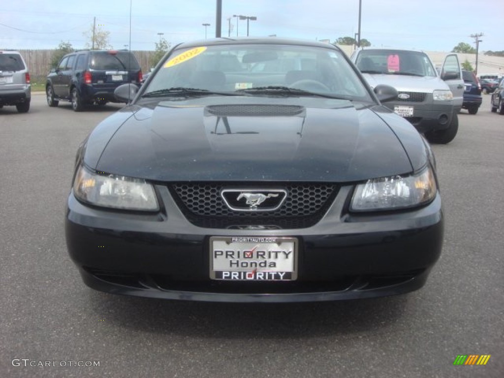 2002 Mustang V6 Coupe - Black / Medium Graphite photo #9