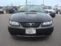 2002 Black Ford Mustang V6 Coupe  photo #9